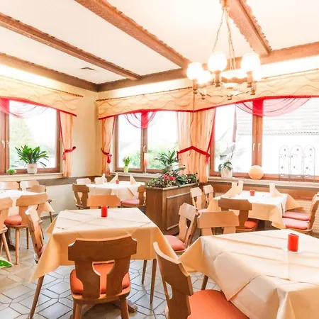 Hotel- Restaurant Zum Hirsch 3* Grossenlueder